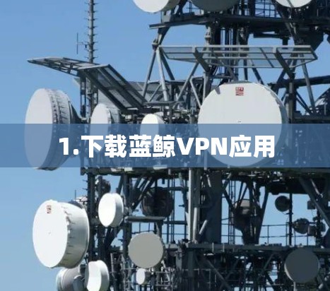 1.下载蓝鲸VPN应用