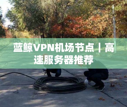 蓝鲸VPN机场节点|高速服务器推荐 蓝鲸VPN机场节点|高速服务器推荐