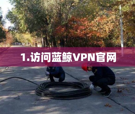 1.访问蓝鲸VPN官网 1.访问蓝鲸VPN官网
