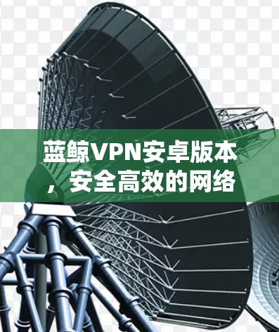 蓝鲸VPN安卓版本，安全高效的网络连接解决方案