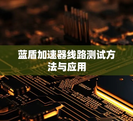 蓝盾加速器线路测试方法与应用