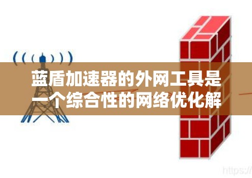 蓝盾加速器的外网工具是一个综合性的网络优化解决方案，旨在帮助用户在复杂的外网环境中高效地管理和优化网络连接。以下是蓝盾外网工具的详细分析和功能概述