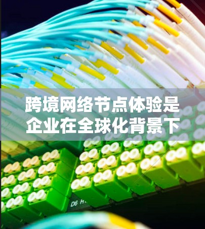 跨境网络节点体验是企业在全球化背景下进行数据管理和业务扩展的关键策略。以下是对跨境网络节点体验的详细分析和总结