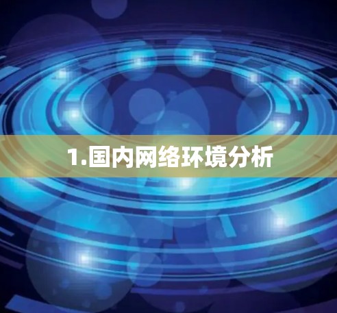 1.国内网络环境分析