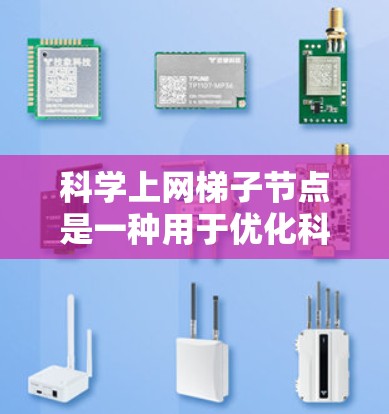 科学上网梯子节点是一种用于优化科学计算和大数据传输的网络架构，通过中转节点加速数据分发和带宽利用。以下是逐步说明，帮助您理解并设置梯子节点