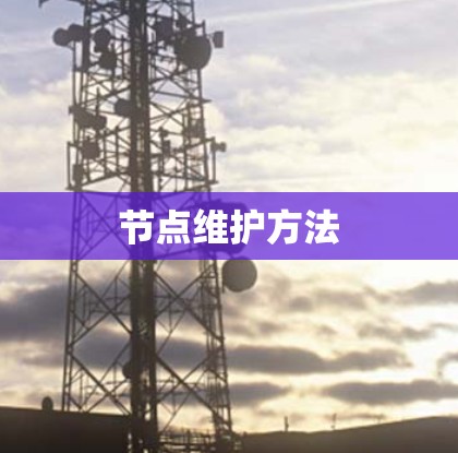 节点维护方法