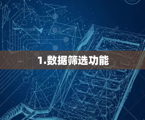 1.数据筛选功能 1.数据筛选功能