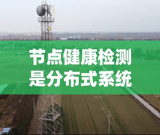 节点健康检测是分布式系统中维护网络或计算节点状态的重要操作,确保系统各节点正常运行,防止故障发生。以下是关于节点健康检测的详细解释和常见方法 节点健康检测是分布式系统中维护网络或计算节点状态的重要操作,确保系统各节点正常运行,防止故障发生。以下是关于节点健康检测的详细解释和常见方法