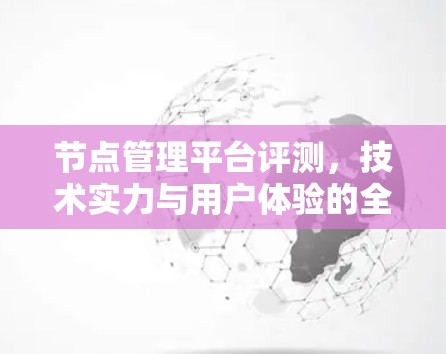 节点管理平台评测,技术实力与用户体验的全面考量 节点管理平台评测,技术实力与用户体验的全面考量