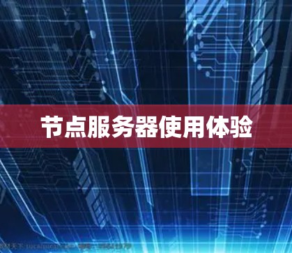 节点服务器使用体验 节点服务器使用体验