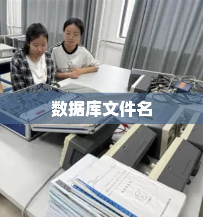 数据库文件名 数据库文件名