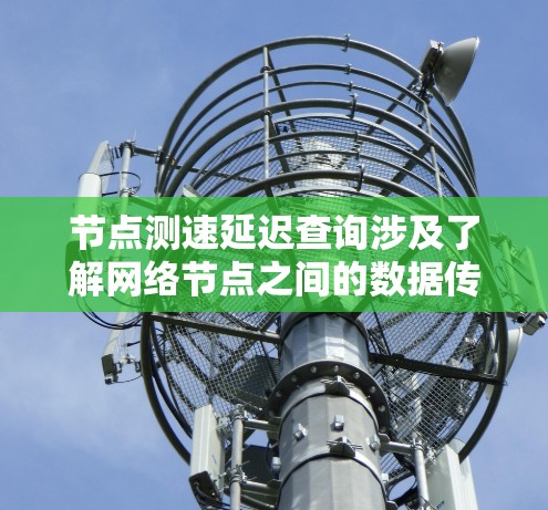 节点测速延迟查询涉及了解网络节点之间的数据传输延迟,以下是详细的解决方案 节点测速延迟查询涉及了解网络节点之间的数据传输延迟,以下是详细的解决方案