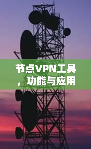 节点VPN工具，功能与应用解析