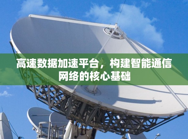 高速数据加速平台,构建智能通信网络的核心基础 高速数据加速平台,构建智能通信网络的核心基础