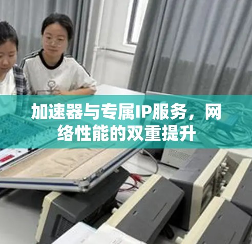 加速器与专属IP服务，网络性能的双重提升