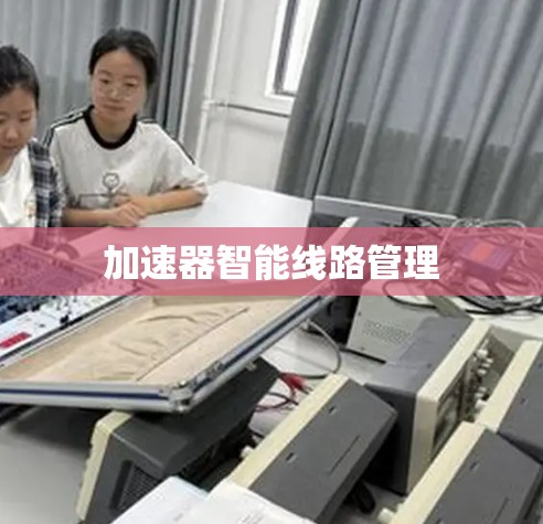 加速器智能线路管理