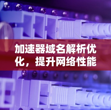加速器域名解析优化，提升网络性能的关键技术