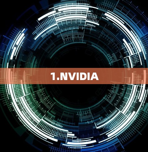 1.NVIDIA