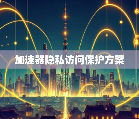 加速器隐私访问保护方案