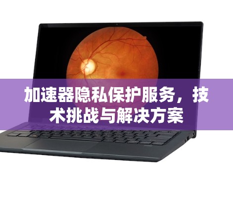 加速器隐私保护服务,技术挑战与解决方案 加速器隐私保护服务,技术挑战与解决方案