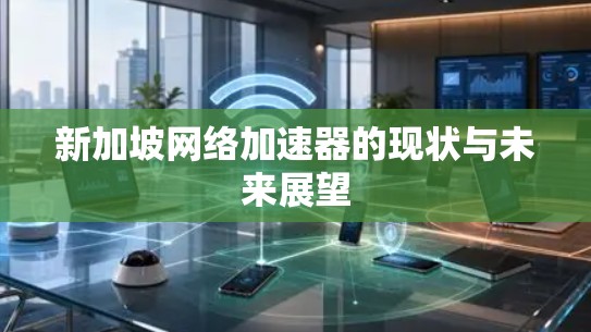 新加坡网络加速器的现状与未来展望