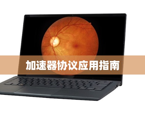 加速器协议应用指南