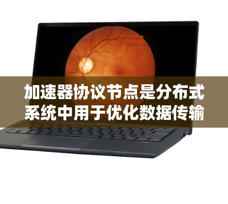加速器协议节点是分布式系统中用于优化数据传输的关键组件，通过协商加速数据块传输，显著降低延迟并提高吞吐量。以下是对加速器协议节点的详细总结