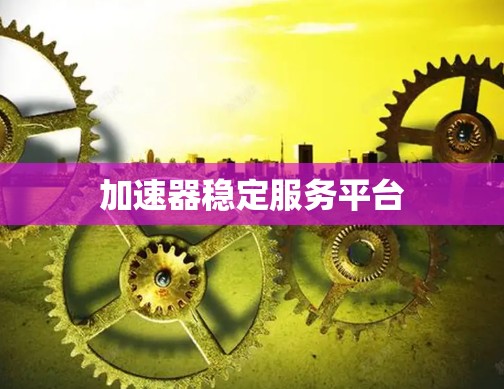 加速器稳定服务平台