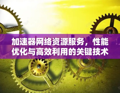 加速器网络资源服务,性能优化与高效利用的关键技术 加速器网络资源服务,性能优化与高效利用的关键技术