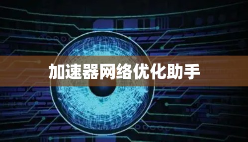 加速器网络优化助手 加速器网络优化助手