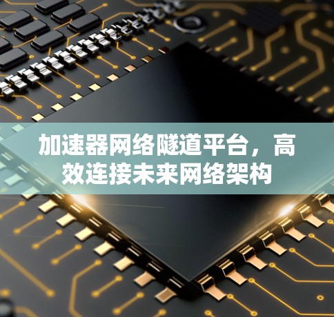 加速器网络隧道平台，高效连接未来网络架构