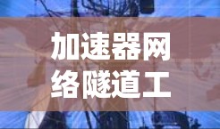 加速器网络隧道工具是一类用于优化网络性能的技术,主要用于数据中心和云计算环境。这些工具通过创建网络隧道,实现高效的数据传输,绕过边界设备,提升速度和安全性。以下是对这些工具的详细分类和应用场景 加速器网络隧道工具是一类用于优化网络性能的技术,主要用于数据中心和云计算环境。这些工具通过创建网络隧道,实现高效的数据传输,绕过边界设备,提升速度和安全性。以下是对这些工具的详细分类和应用场景