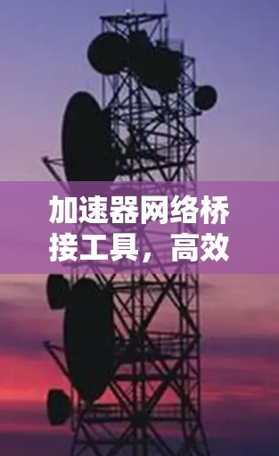 加速器网络桥接工具，高效网络通信的助力