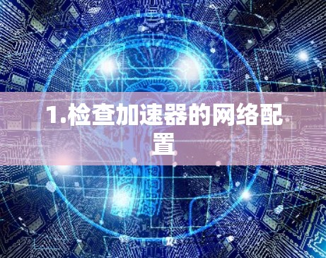 1.检查加速器的网络配置 1.检查加速器的网络配置