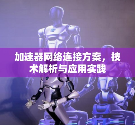 加速器网络连接方案,技术解析与应用实践 加速器网络连接方案,技术解析与应用实践
