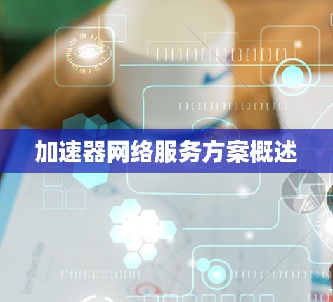 加速器网络服务方案概述