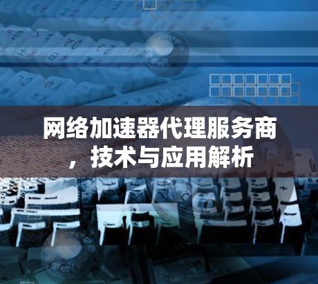 网络加速器代理服务商,技术与应用解析 网络加速器代理服务商,技术与应用解析