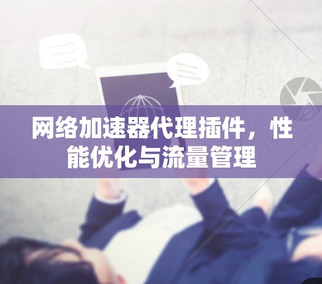 网络加速器代理插件，性能优化与流量管理