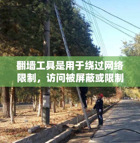 翻墙工具是用于绕过网络限制，访问被屏蔽或限制访问的网站和内容的软件或服务。以下是翻墙工具的详细介绍