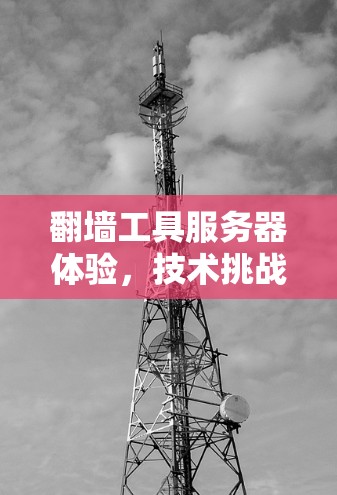 翻墙工具服务器体验，技术挑战与解决方案