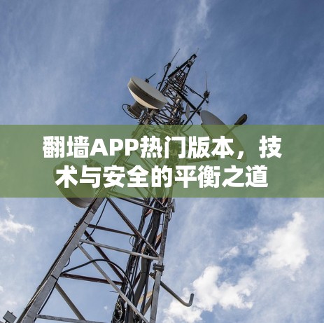 翻墙APP热门版本,技术与安全的平衡之道 翻墙APP热门版本,技术与安全的平衡之道