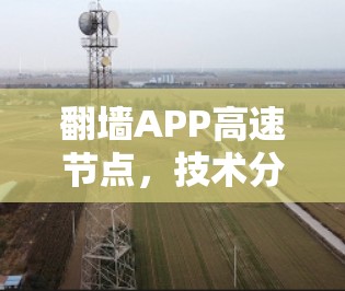 翻墙APP高速节点,技术分析与应用探讨 翻墙APP高速节点,技术分析与应用探讨