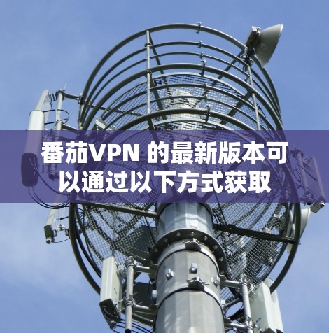 番茄VPN 的最新版本可以通过以下方式获取