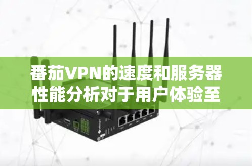番茄VPN的速度和服务器性能分析对于用户体验至关重要。以下是对番茄VPN速度测试和服务器分析的详细解释 番茄VPN的速度和服务器性能分析对于用户体验至关重要。以下是对番茄VPN速度测试和服务器分析的详细解释