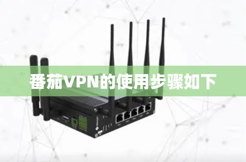 番茄VPN的使用步骤如下