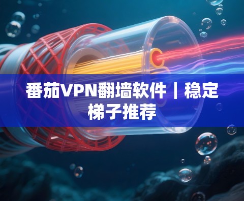 番茄VPN翻墙软件｜稳定梯子推荐