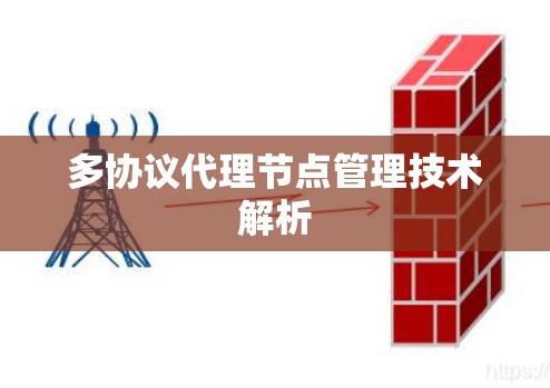 多协议代理节点管理技术解析 多协议代理节点管理技术解析