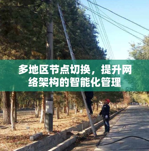 多地区节点切换,提升网络架构的智能化管理 多地区节点切换,提升网络架构的智能化管理
