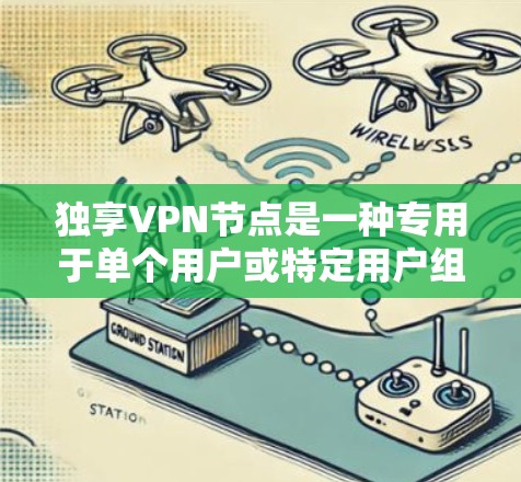 独享VPN节点是一种专用于单个用户或特定用户组的VPN服务，提供高度安全和隐私保护。以下是对独享VPN节点的详细分析