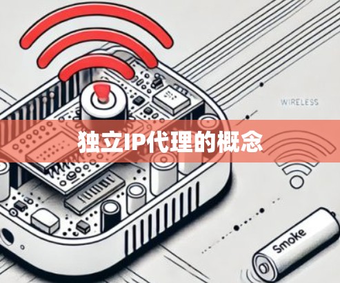 独立IP代理的概念 独立IP代理的概念